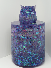 Load image into Gallery viewer, Blue Glitter Owl Screw Lid Jar
