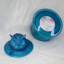 Load image into Gallery viewer, Blue &amp; Green Owl Jewelry Holder
